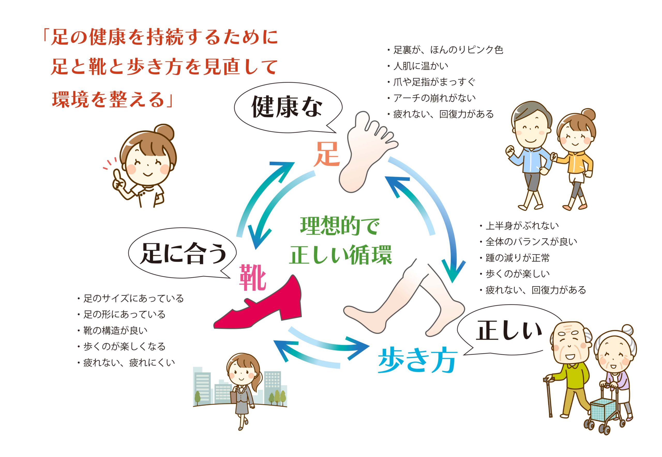 正しい循環